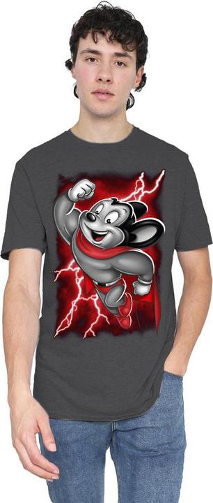 Produktbild Fruit of the Loom Mighty TShirt (S)
