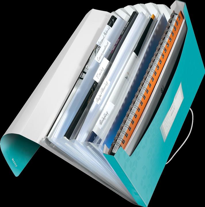 Actual product image Leitz Wow project folder (A4, 1 x)