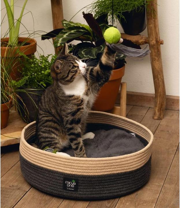 Actual product image Beeztees Xana (Cat)