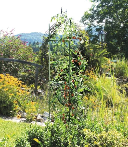Image du produit Windhager Tour de tomates (30 cm, 30 cm)