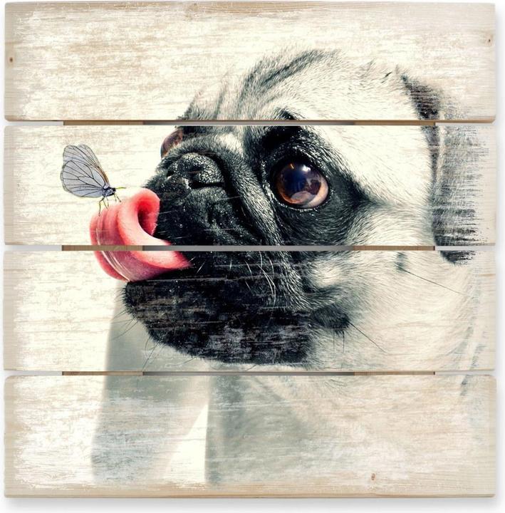 Image du produit Trenddeko L'affection des animaux (40 x 41,5 cm)