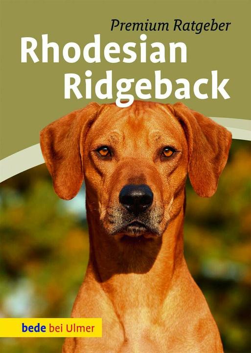 Rhodesian Ridgeback (German, Annette Schmitt, 2012)
