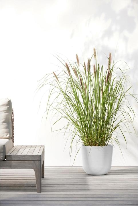 Actual product image Ecopots Oslo (25.25 cm)
