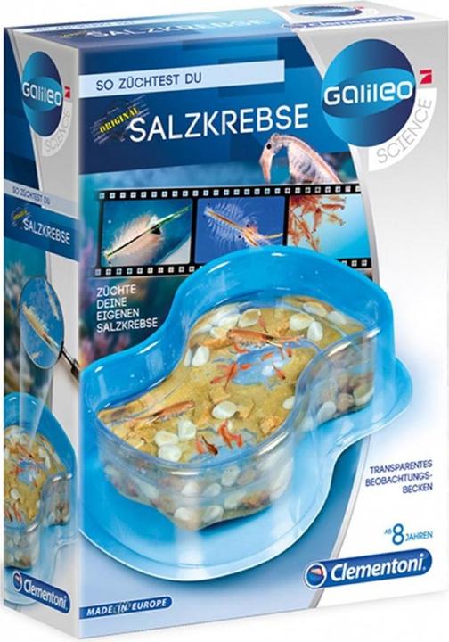 Actual product image Clementoni Galileo: This is how you grow sea monkeys
