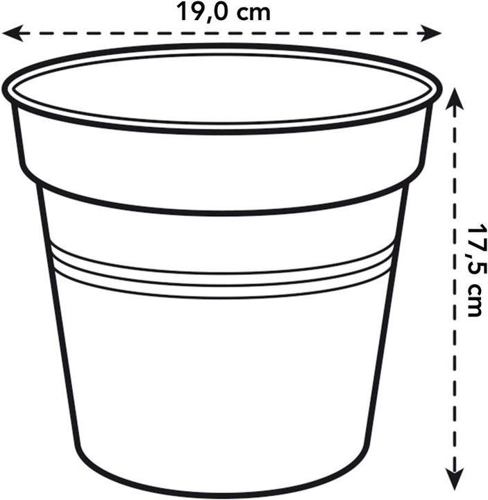 Actual product image Elho Green Basics (19 cm)