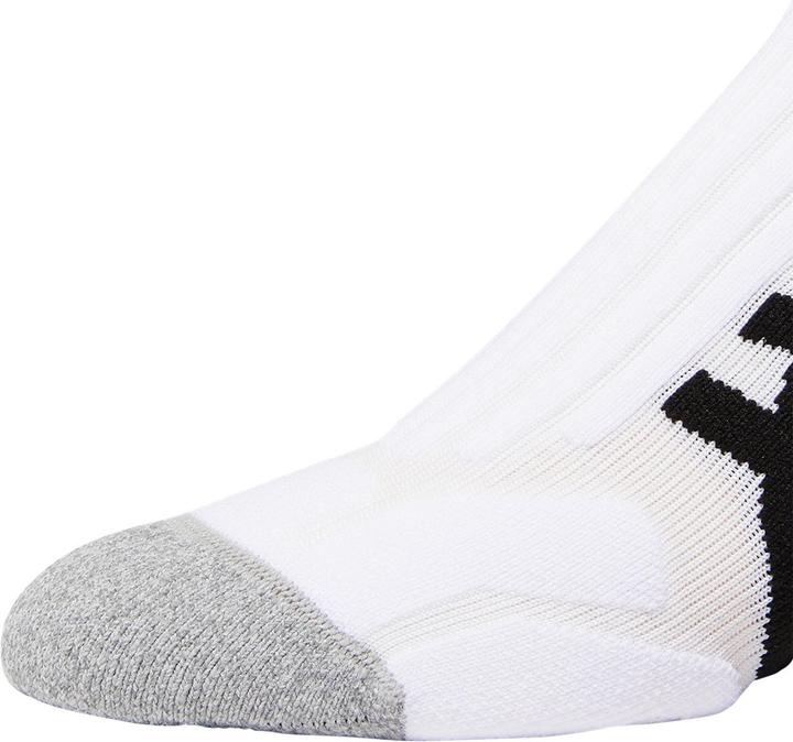 Image du produit ASICS Performance Tennis Single Tab Sock Blanc Brillant (43 - 46)