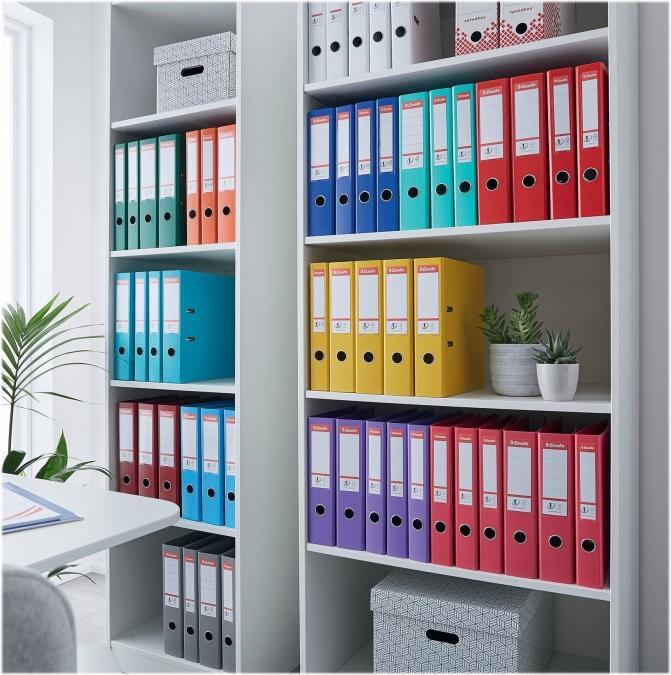 Image du produit Esselte Classeur plastique (A4, 50 mm, 1 pièce(s))