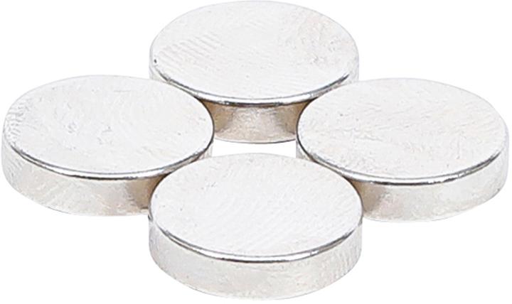 BGS Magnet set (4 x)