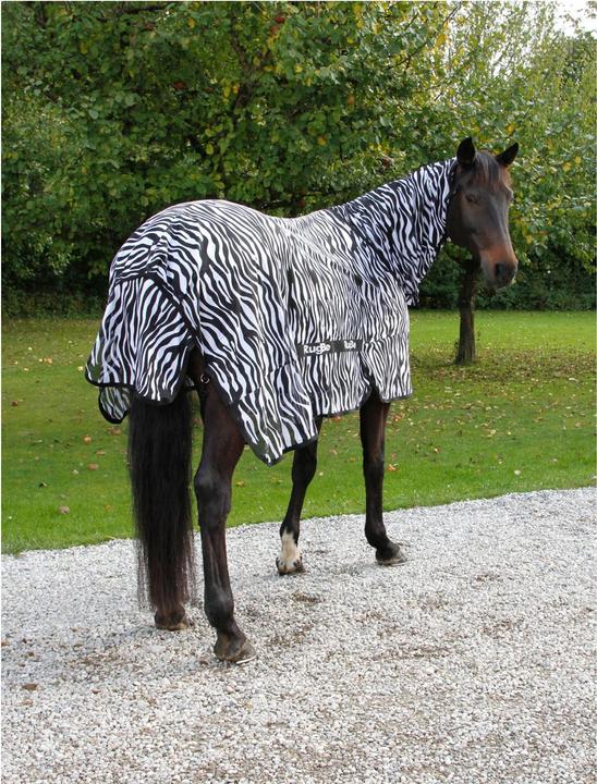 Produktbild Kerbl Zebra Fliegen- und Ekzemerdecke m Halsteil (145 cm)