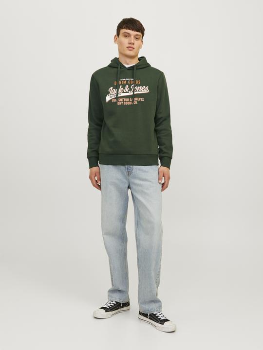 Actual product image Jack & Jones JJELOGO SWEAT HOOD 2 COL 24/25 NOOS (XL)