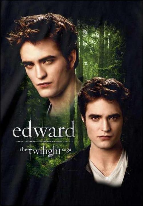 Produktbild Twilight TShirt (XXL)