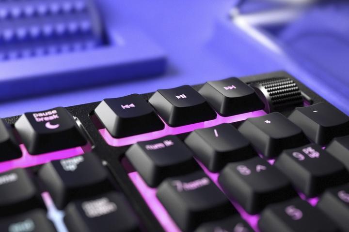 Actual product image Razer Ornata V2 (US, Cable)
