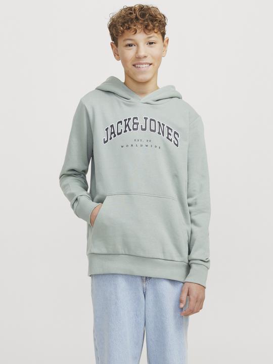 Produktbild Jack & Jones Jjecaleb Varsity Sweat Hood Noos Jnr (152)