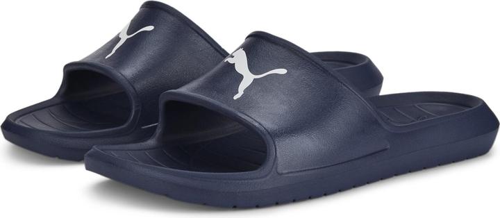 Actual product image Puma Divecat v2 Lite Cat (40.5)