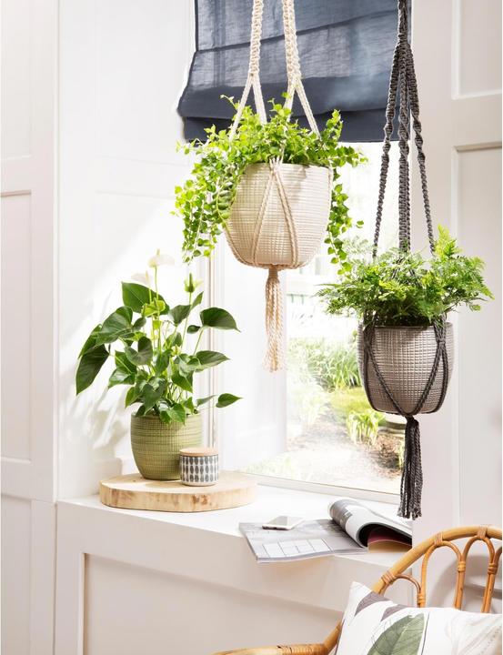 Produktbild Scheurich Hängeampel 868 (22.50 cm)