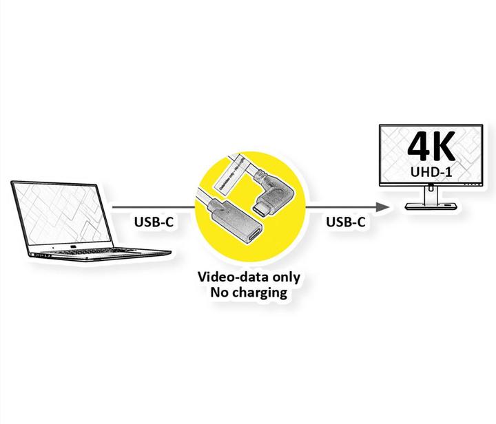 Image du produit Roline Câble d'extension vidéo (DP Alt Mode) USB type C-C, ST/BU (2 m, USB 3.2 Gen 1)