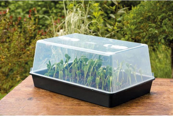 Produktbild Romberg Gewächshaus XXL 59 x 39 x 27 cm