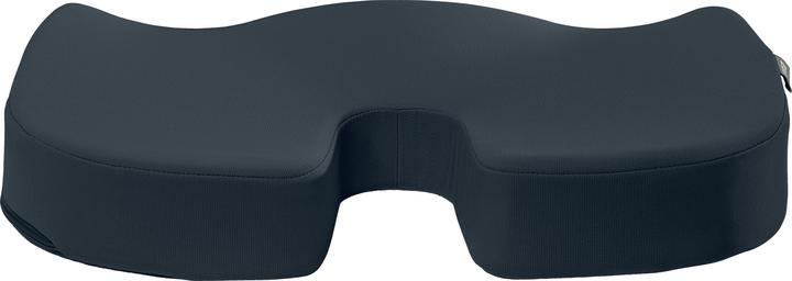 Immagine prodotto Leitz Cuscino per sedile Ergo Cosy (45,5 x 35,5 cm)