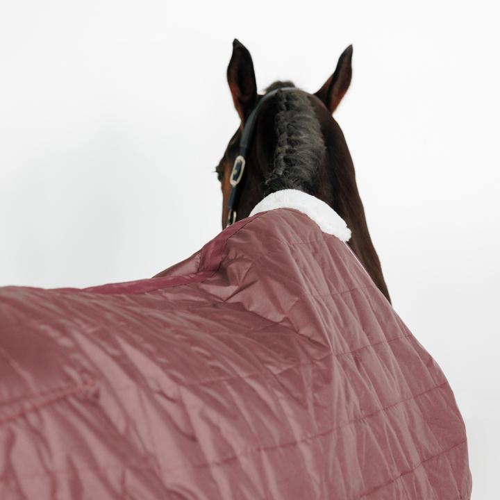 Actual product image Fouganza Combo (145 cm)