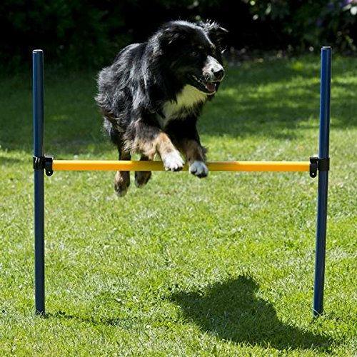 Actual product image Petcenter XXL agility set - 1 tunnel 60x152 cm, 8 slalom poles, 2 jumps, 1 boxing band (One size, Agility)