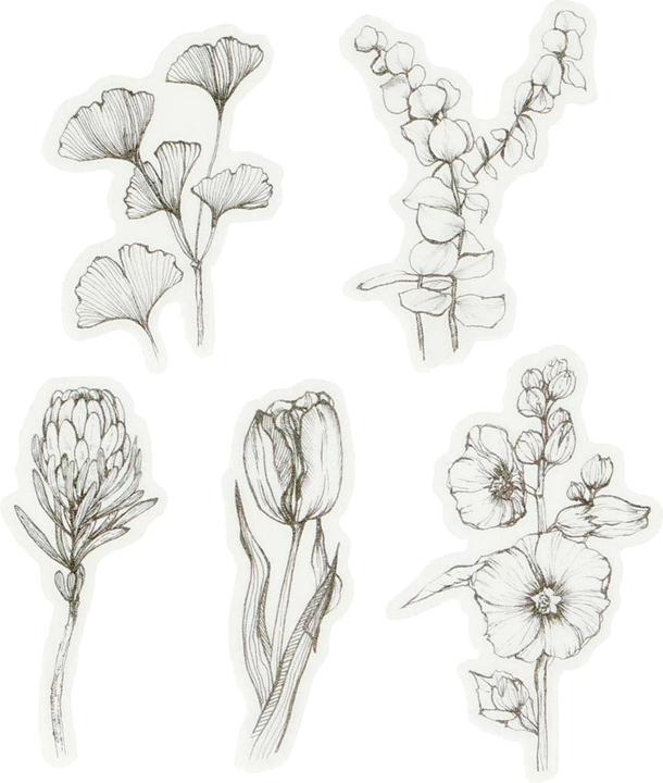 Immagine prodotto Creativ Company Fiori