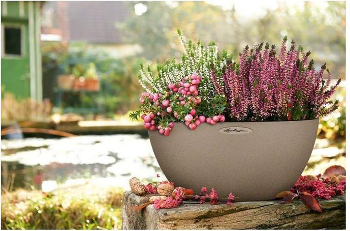 Produktbild Lechuza Cubeto Color (30 cm)