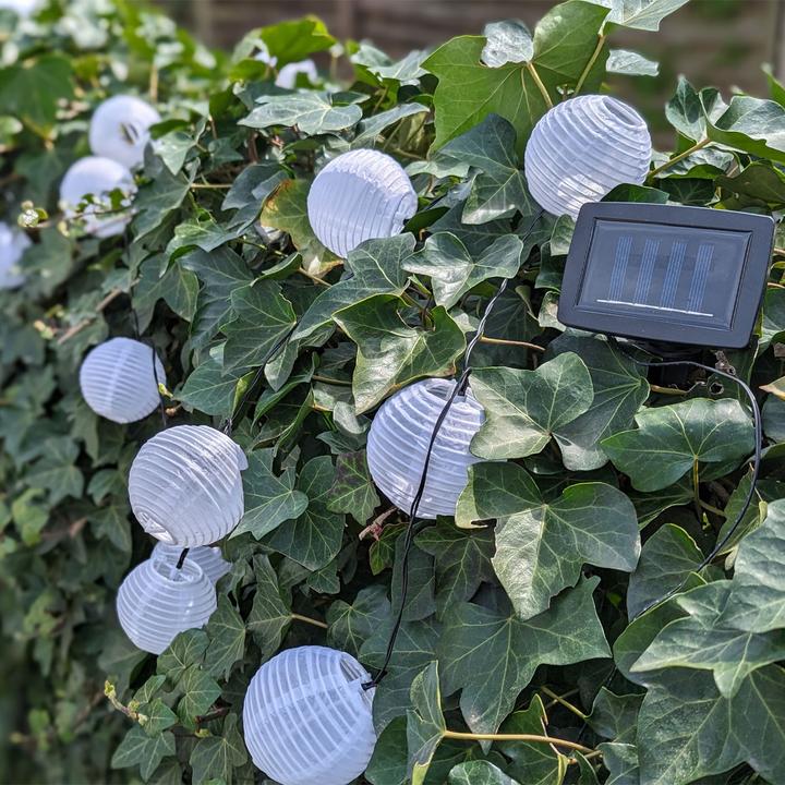 Image du produit Casativo Lampions (3.80 m)