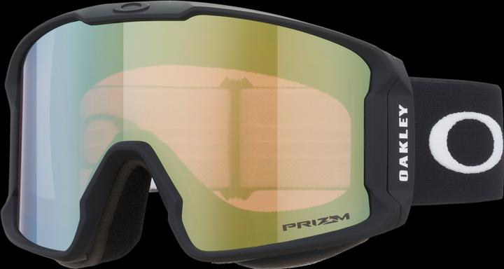matt schwarz prizm sage gold iridium