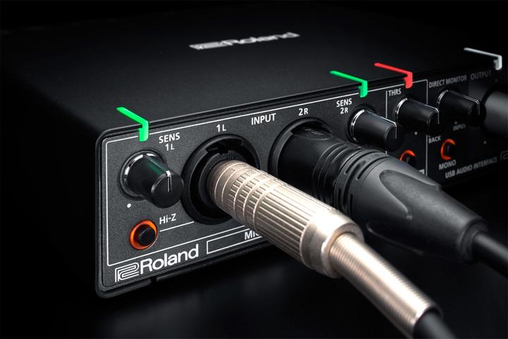 Actual product image Roland Rubix 22 (6.3mm jack)