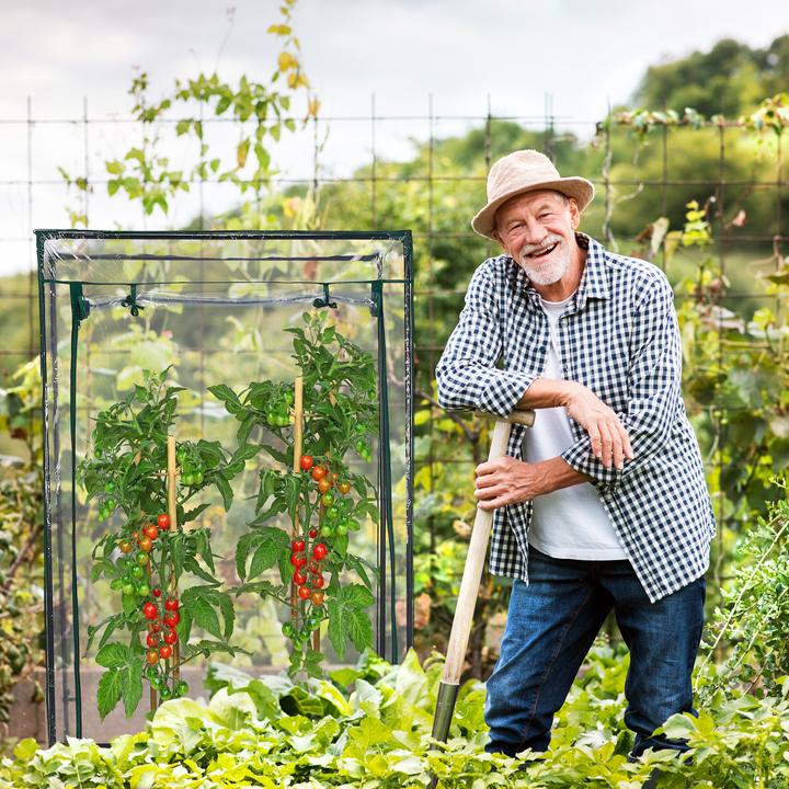 Produktbild Relaxdays Tomatengewächshaus