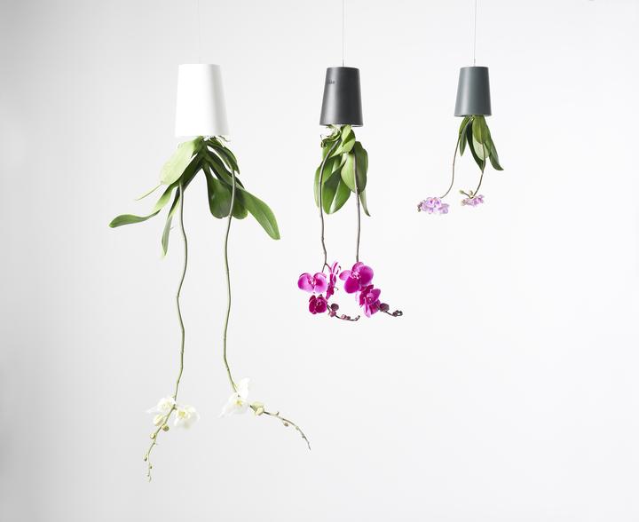 Produktbild boskke Sky Planter hängender Pflanzentopf mit Wasserspeicher