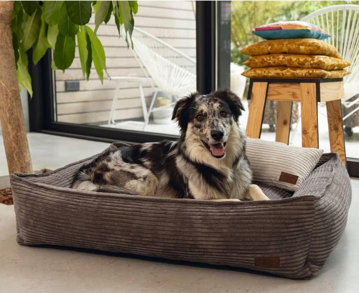 Image du produit Designed by Lotte Ribbed (Chien)