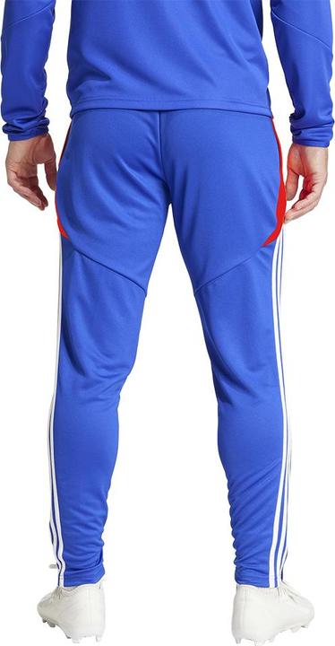 Actual product image adidas Tiro24 Training Pant (L)