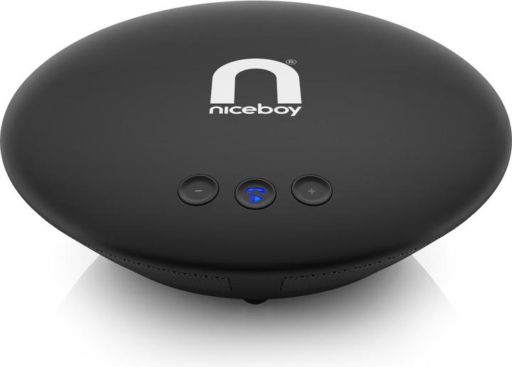 Actual product image Niceboy VOICE Call BT