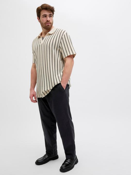 Produktbild Jack & Jones Plus Size Relaxed Fit Relaxed Fit Hosen Relaxed Fit Hosen (42)