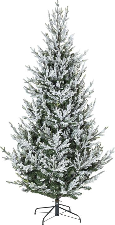 Image du produit Star Trading Uppsala Snow (210 cm)