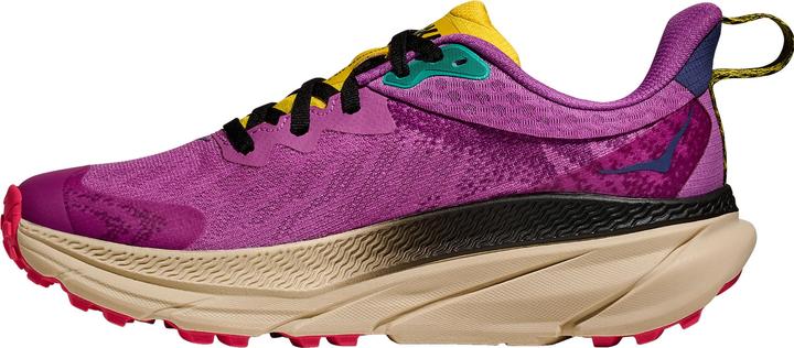 Produktbild Hoka Challenger 7 GTX (41)