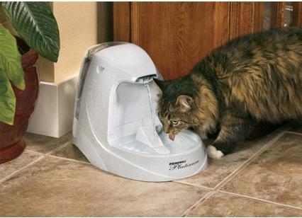 Image du produit PetSafe Platine (5 l)