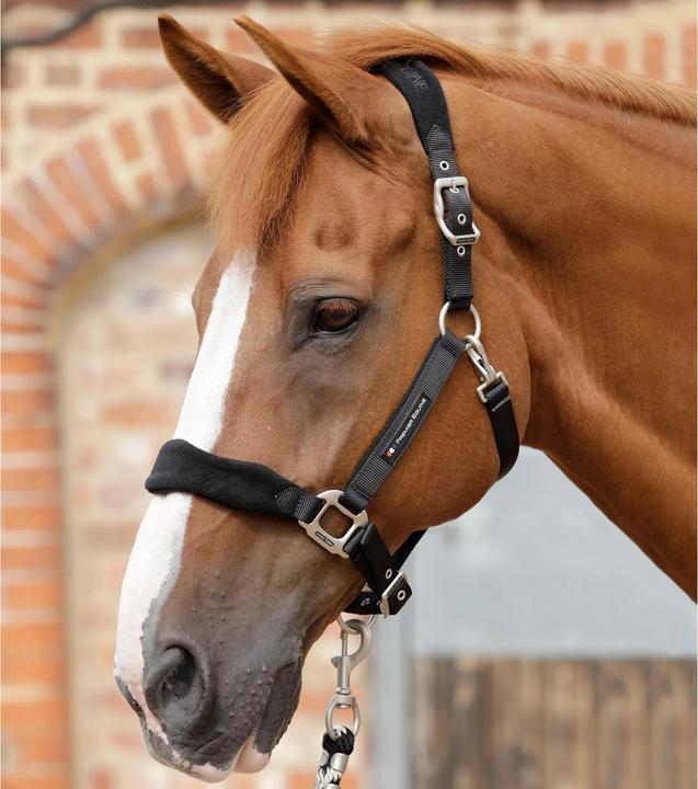 Produktbild Premier Equine Gepolstertes Halfter aus Fleece für Pferde