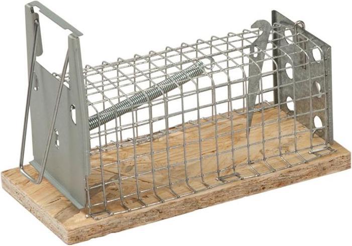 Actual product image Freund Victoria Wire Cage Mouse Trap Live Trap