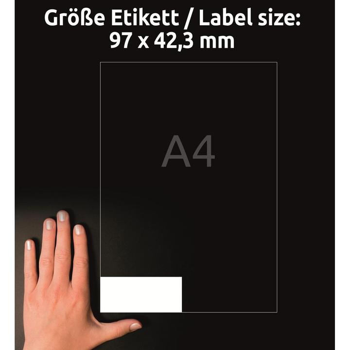 Image du produit Avery Étiquettes universelles