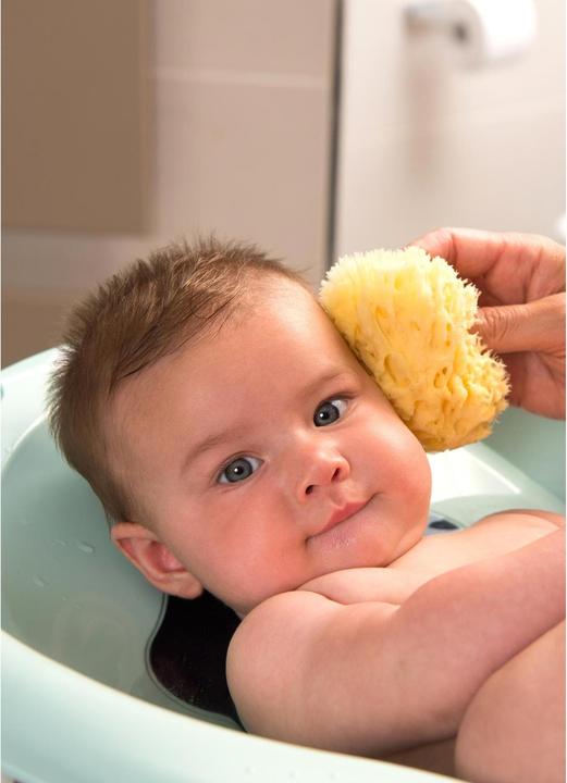 Image du produit Rotho Babydesign Éponge méditerranéenne