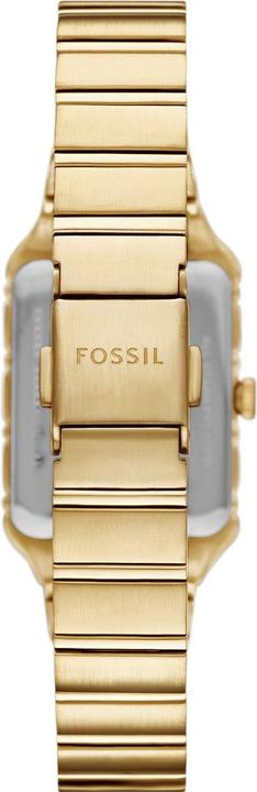 Actual product image Fossil Damenuhr RAQUEL (Analogue wristwatch, 23 mm)