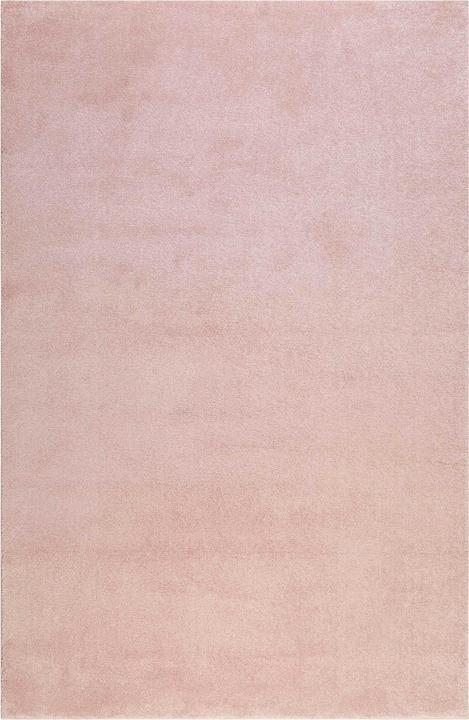 Image du produit Esprit Campus (80 x 150 cm)