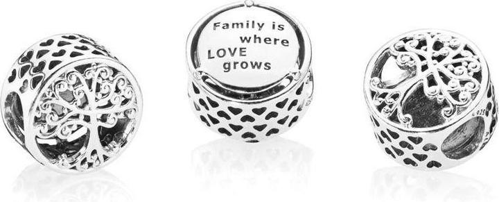 Produktbild Pandora Family Tree (Silber)