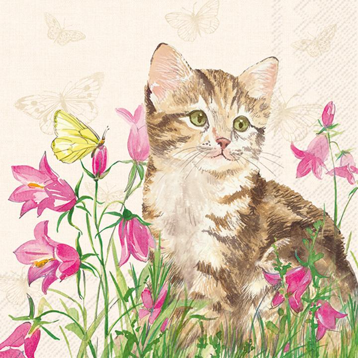 Image du produit IHR Serviette de table 33x33 MINKA cream (20 x, 33 x 33 cm)