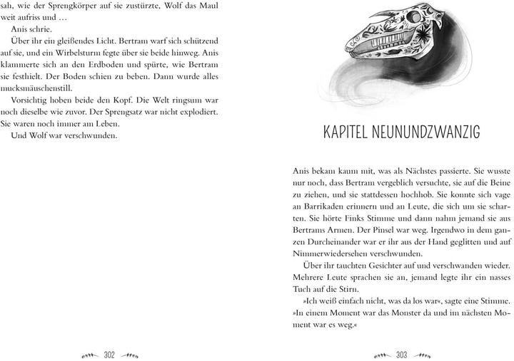 Produktbild Planet Anis – Hüterin des Weisswaldes (Deutsch, Rowan Foxwood, 2025)