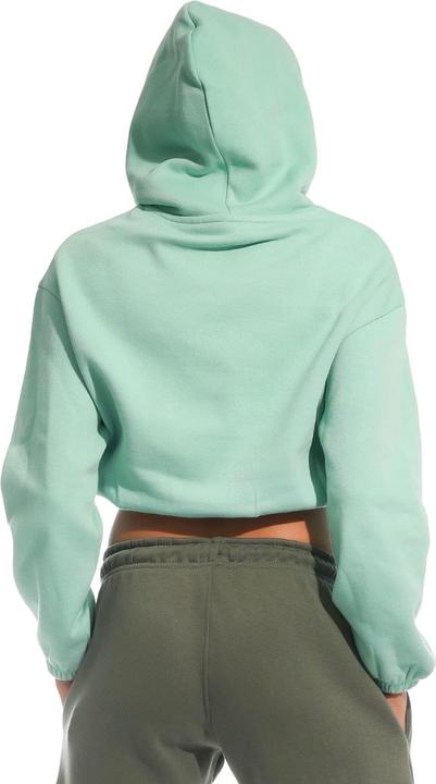 Actual product image Light and Shade Womens/Ladies Cropped Hoodie (S)