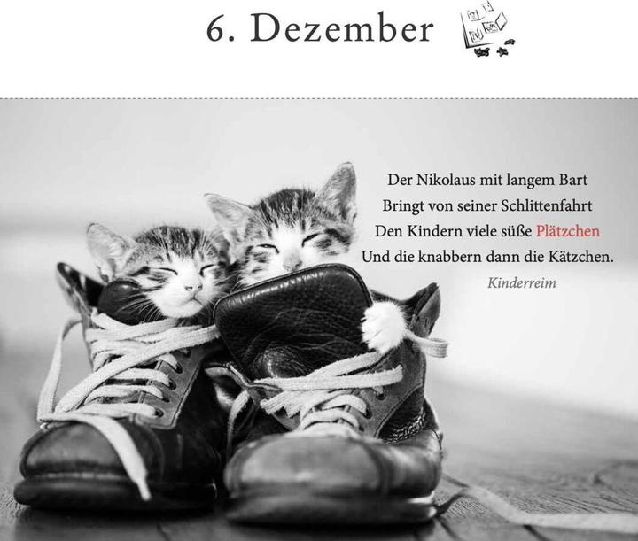 Produktbild Der literarische Katzen