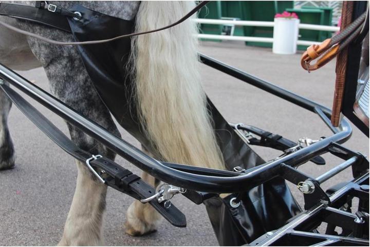 Image du produit Equip Horse Sac de ramassage du crottin de cheval